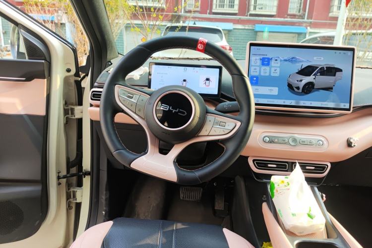 Used BYD Seagull 2025 Smart Drive Version 305 km Freedom Edition