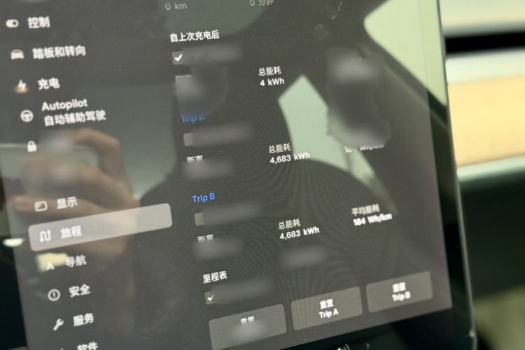 Used Tesla Model 3 2020 Standard Range Rear-Wheel Drive Upgraded Version