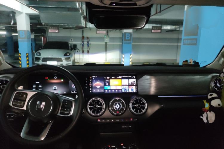 Used Tank 300 2024 2.0T Crosser
