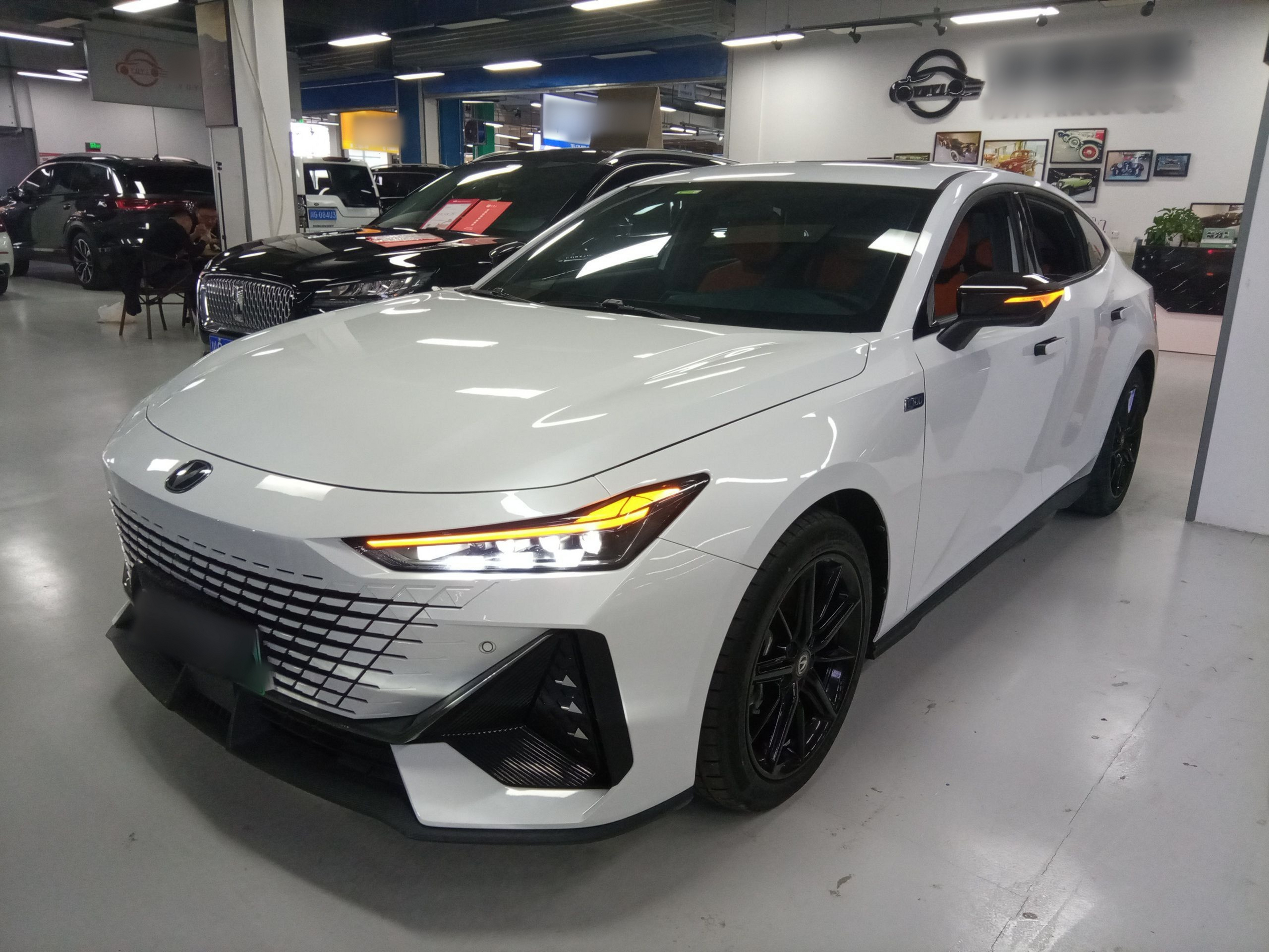 تحت مقدمة السيارة