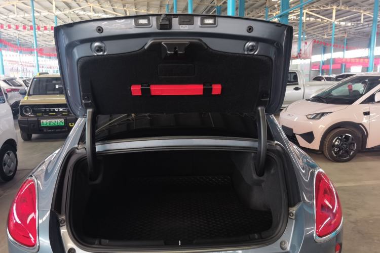 Used ORA Lightning Cat 2022 555 km Luxury Edition
