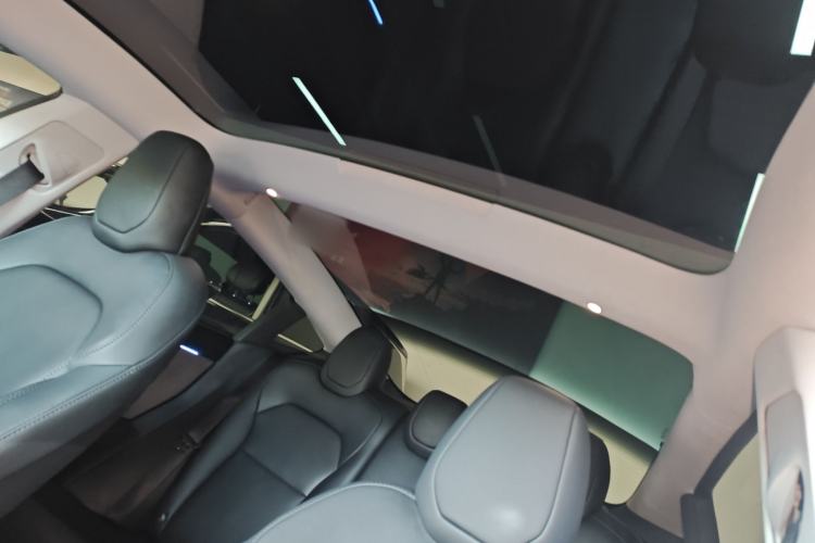 Used Tesla Model 3 2023 Rear-Wheel-Drive Version Headliner