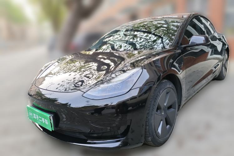 Used Tesla Model 3 2021 Standard Range Rear-Wheel Drive Upgraded Version 3D6