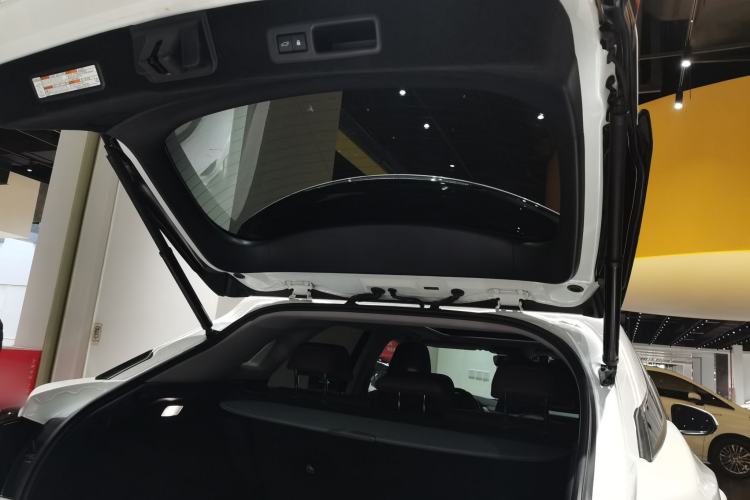 Used Lexus RX 2020 Facelifted 300 4x4 Elegant Edition
