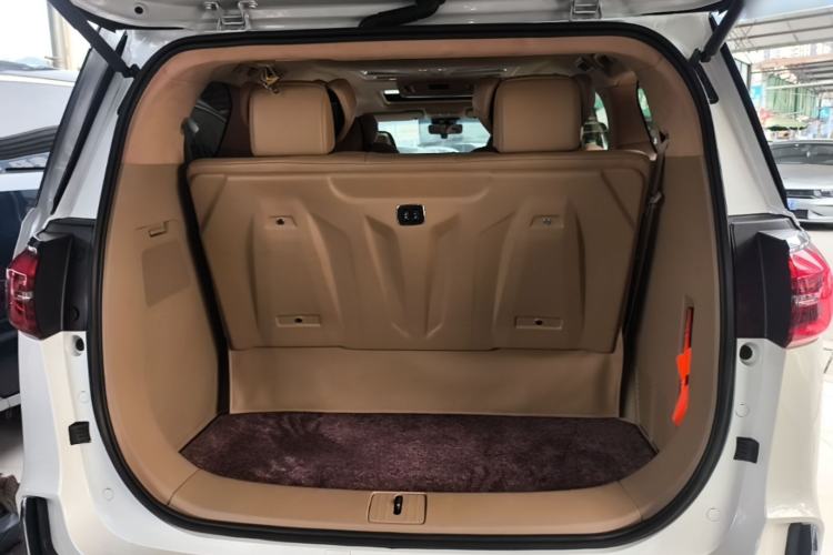 Used Buick GL8 2020 ES Land Cruiser 653T Luxury Edition

