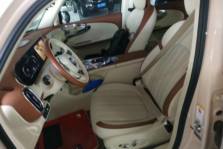 Used ORA Ballet Cat 2023 401 km Luxury Version