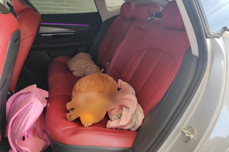 Used XPeng P7 2023 P7i 702 Max Left Rear Seat