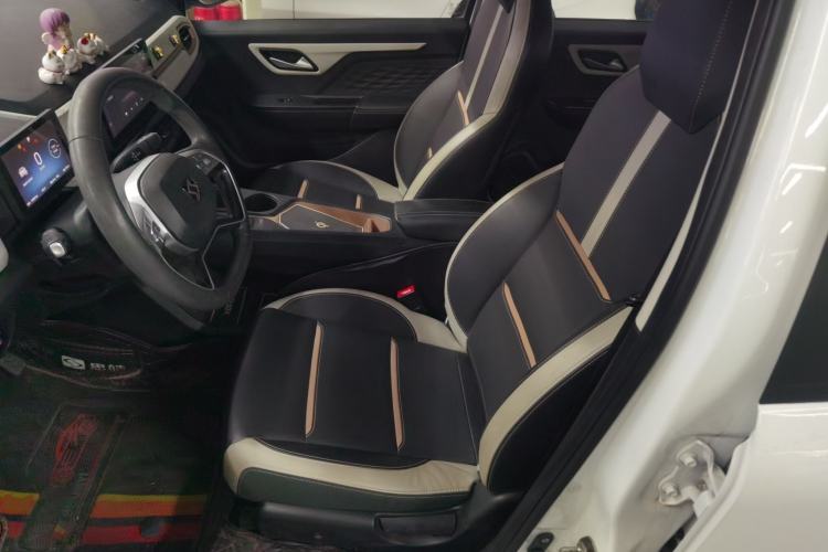 Used SOL E10X 2022 Flower Fairy Design Four-Leaf Clover
