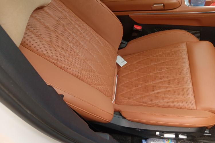 Used NETA L 2024 Range-Extended 220 Luxury Edition Right Front Seat