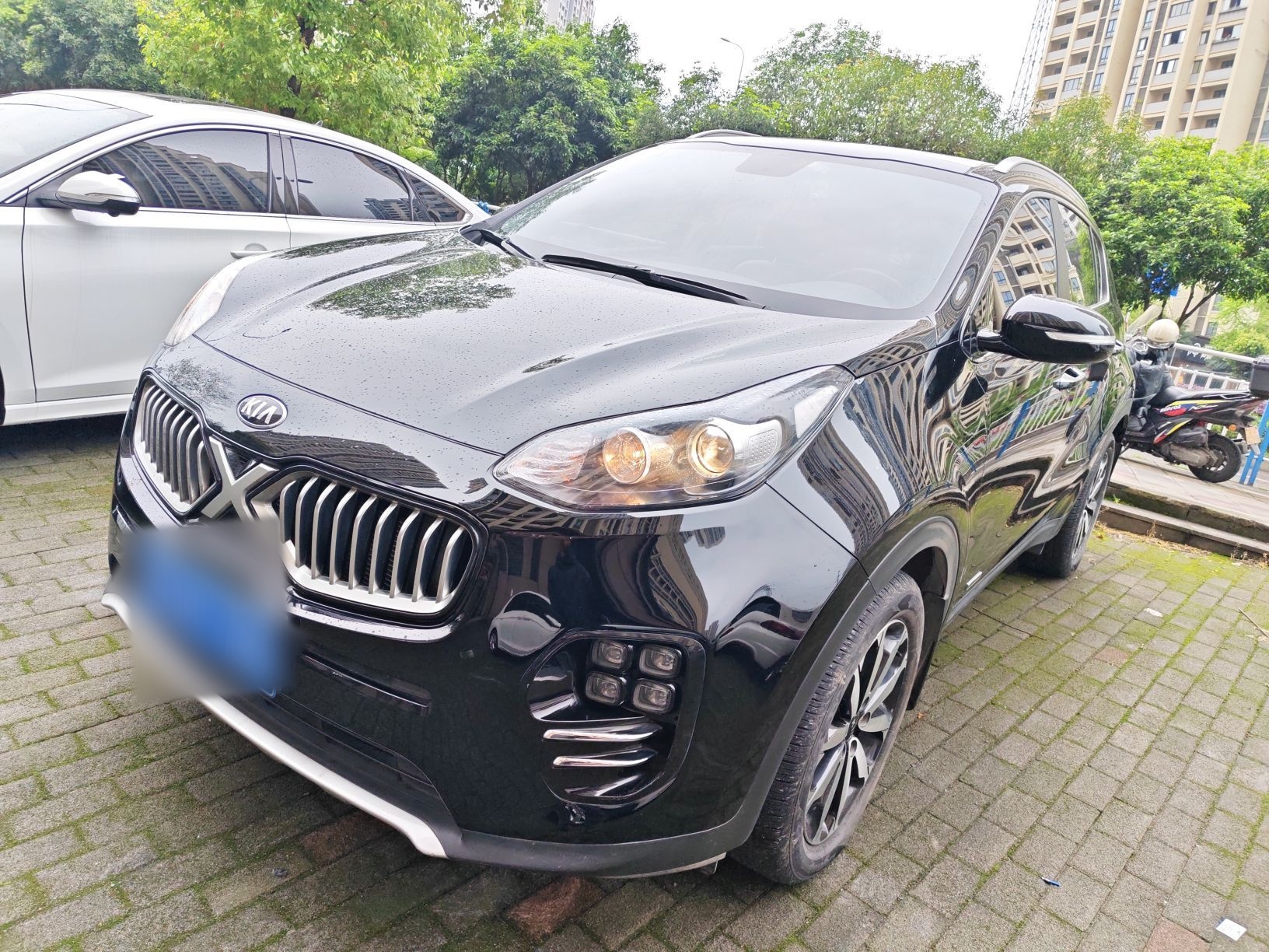 تحت مقدمة السيارة