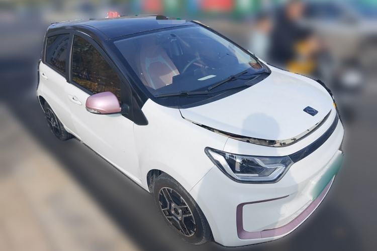 Used SOL E10X 2022 Flower Fairy Design Four-Leaf Clover