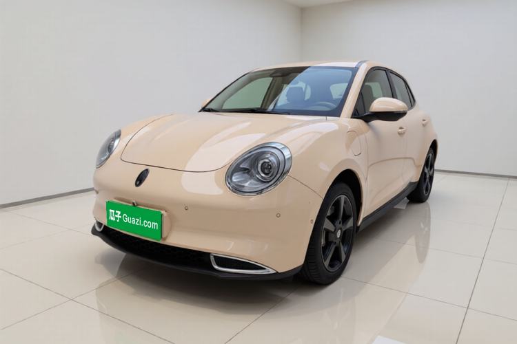 Used ORA Good Cat 2024 401 km Range Luxury Version 135 kW