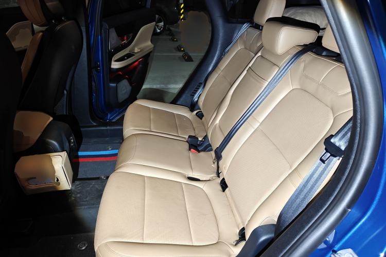 Used Lincoln Corsair 2022 2.0T Two-Wheel Drive Luxury Edition Left Rear Seat