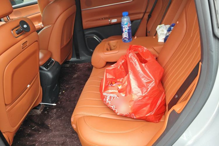 Used CHANGAN NEVO Q07 2025 215 Prestige Edition Left Rear Seat