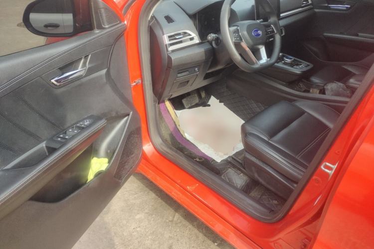 Used BYD e2 2019 Long-Range Version Yao·Luxury Trim
