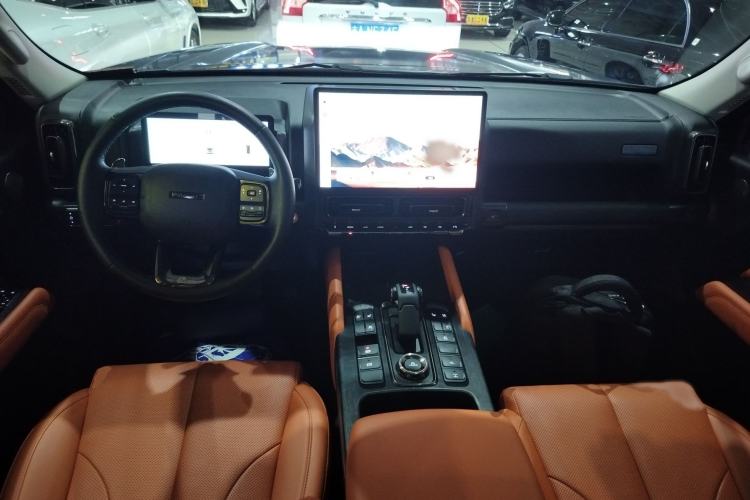 Used Haval H9 2024 2.0T Gasoline All-Wheel-Drive Extreme Edition