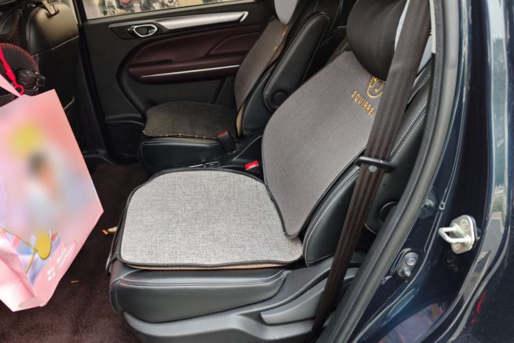 Used GAC Trumpchi M6 2021 PRO 270T Automatic Luxury Edition Left Rear Seat