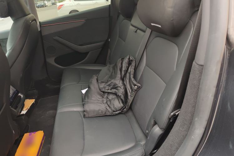 Used Tesla Model Y 2025 Long-Range All-Wheel Drive First Edition Left Rear Seat
