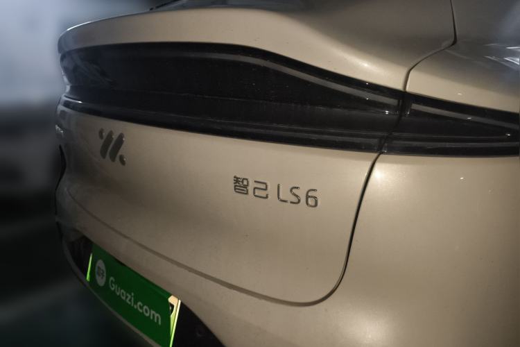 Used IM LS6 2023 Max Standard Edition
