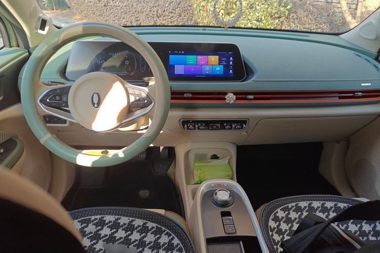 Used ORA Good Cat 2022 400km Standard Range Premium Version Lithium Iron Phosphate Center Console