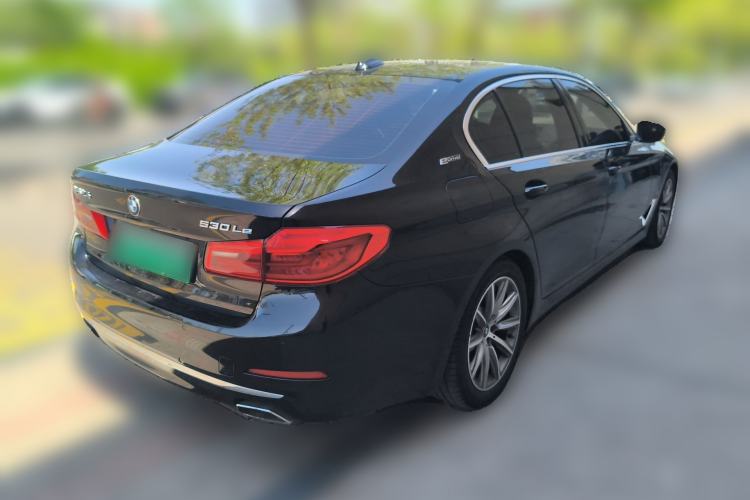 Used BMW 5 Series New Energy 2019 530Le Luxury Package