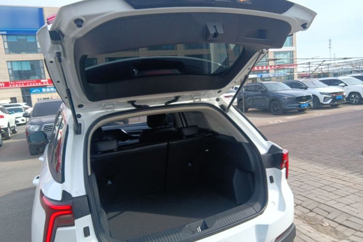 Used Bestune T55 2023 1.5T Automatic Leap Model
