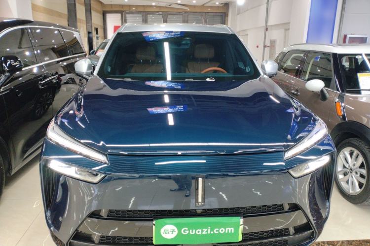 Used Wey Lanshan 2023 Four-Wheel Drive Ultra-Long Range Version
