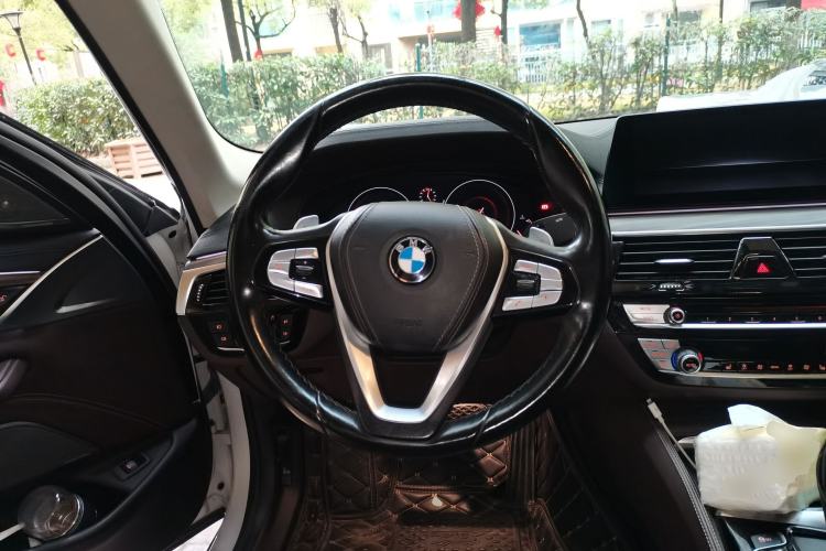 Used BMW 5 Series 2019 530Li Leading Model Luxury Package Steering Wheel