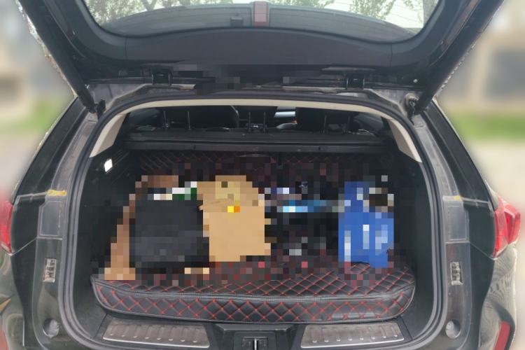 Used Wey P8 2018 2.0T Flagship Model