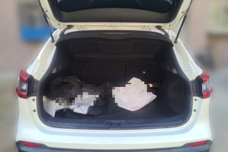 Used Nissan Qashqai 2019 2.0L CVT Luxury Edition