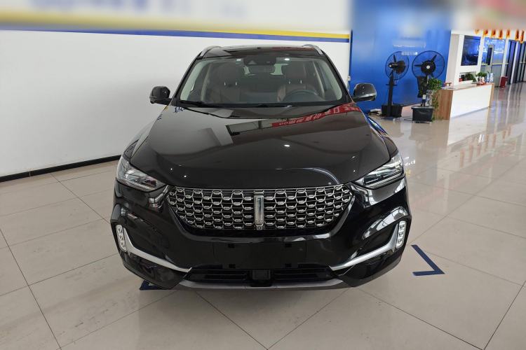 Used Wey VV6 2021 2.0T Two-Wheel Drive Smart Protection+