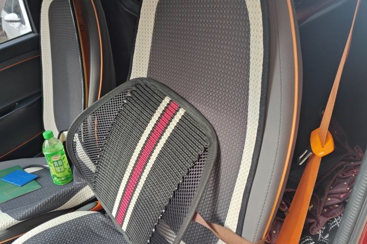 Used Baojun E100 2019 250KM Smart Drive Edition Left Rear Seat