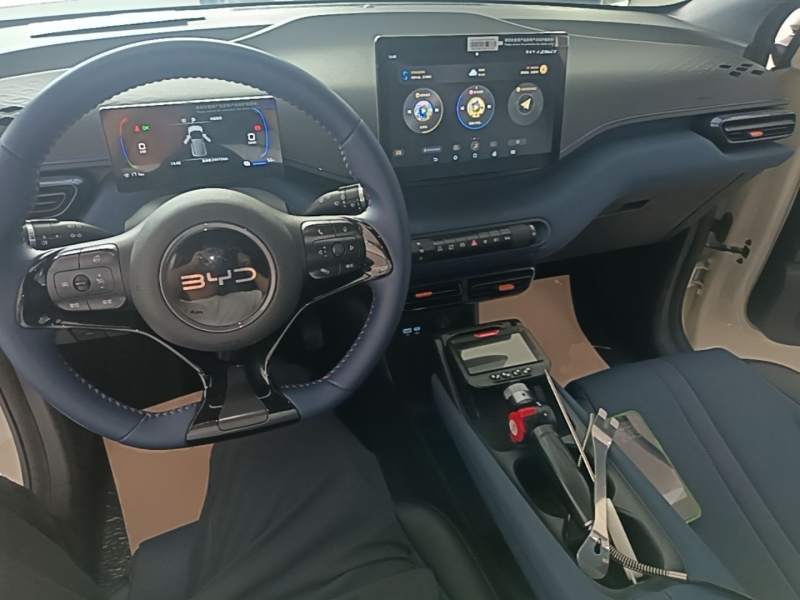 Used BYD Seagull 2024 Honor Edition 305km Freedom Version — 9