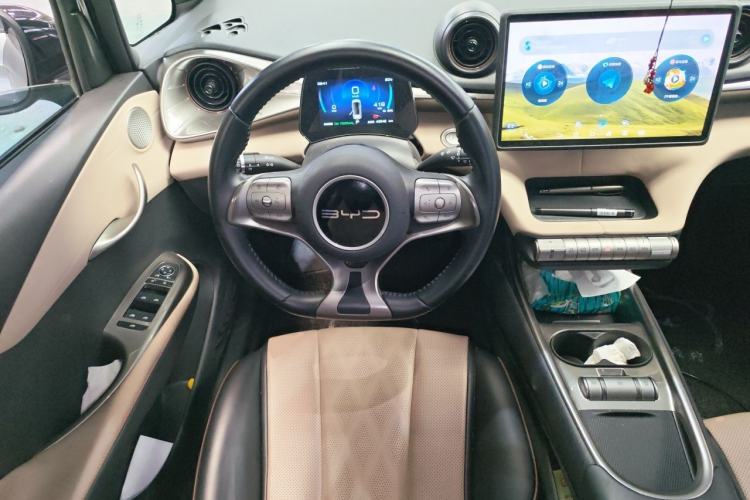 Used BYD Dolphin 2023 420 km Free Version Steering Wheel