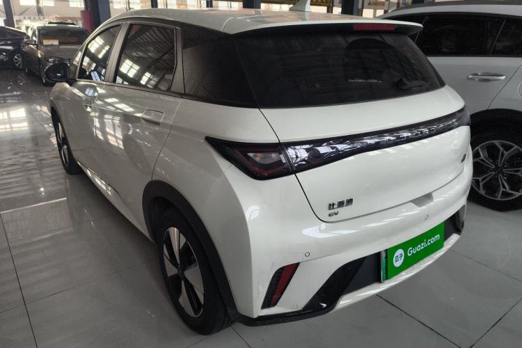 Used BYD Dolphin 2023 420 km Fashion Edition Rear Left 45 Deg