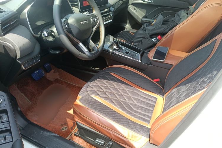 Used Haval LHERY 2022 Jingxiang Edition 1.5T Copper Rabbit Left Front Seat