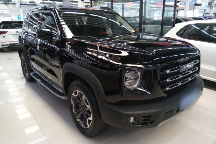 Used Haval DARGO 2022 2.0T DCT 4x4 Chinese Rural Dog Edition