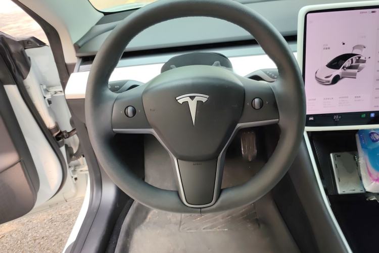 Used Tesla Model 3 2019 Standard Range Rear-Wheel Drive Upgraded Version (60 kWh)
