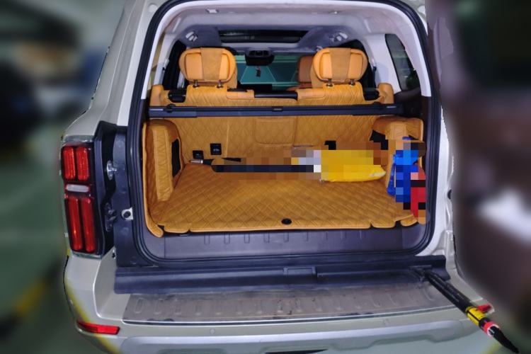 Used Tank 500 2022 3.0T Business Edition "Creation Realm" Design 5-Seater
