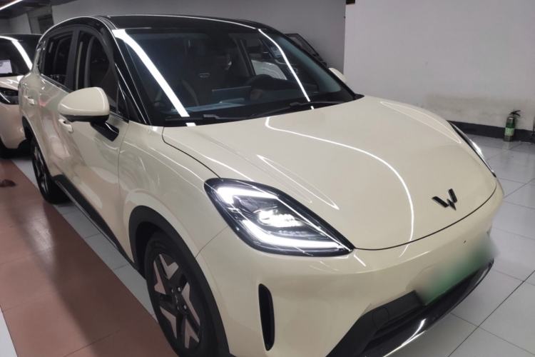 Used Wuling Bingo S 2025 Model 430km Flagship Edition