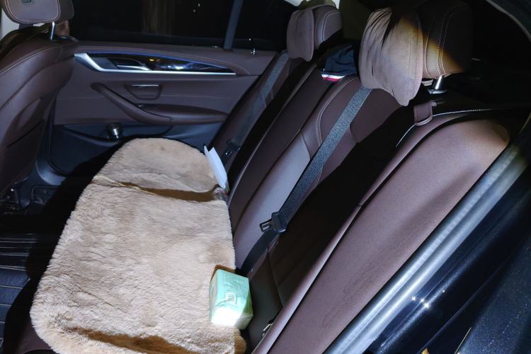 Used BMW 5 Series 2020 525Li Luxury Package
