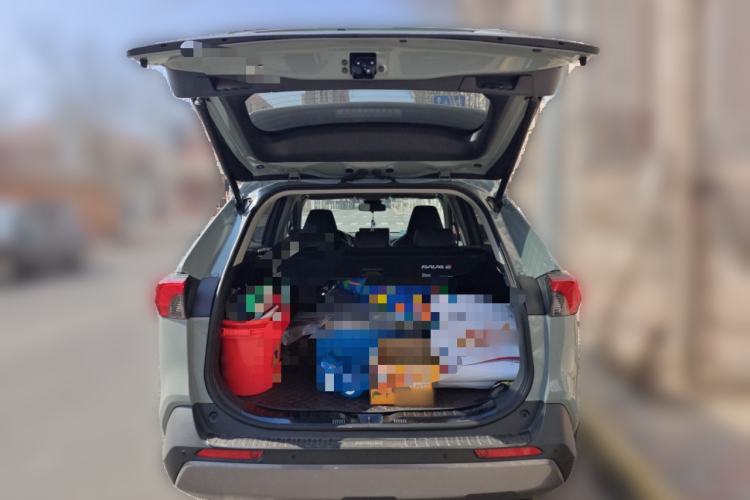 Used Toyota RAV4 2021 2.0L CVT Two-Wheel Drive Fashion PLUS Edition
