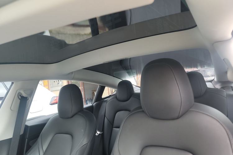 Used Tesla Model 3 2022 Rear-Wheel-Drive Version Headliner