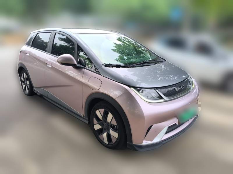 Used BYD Dolphin 2021 401km Knight Edition — 3