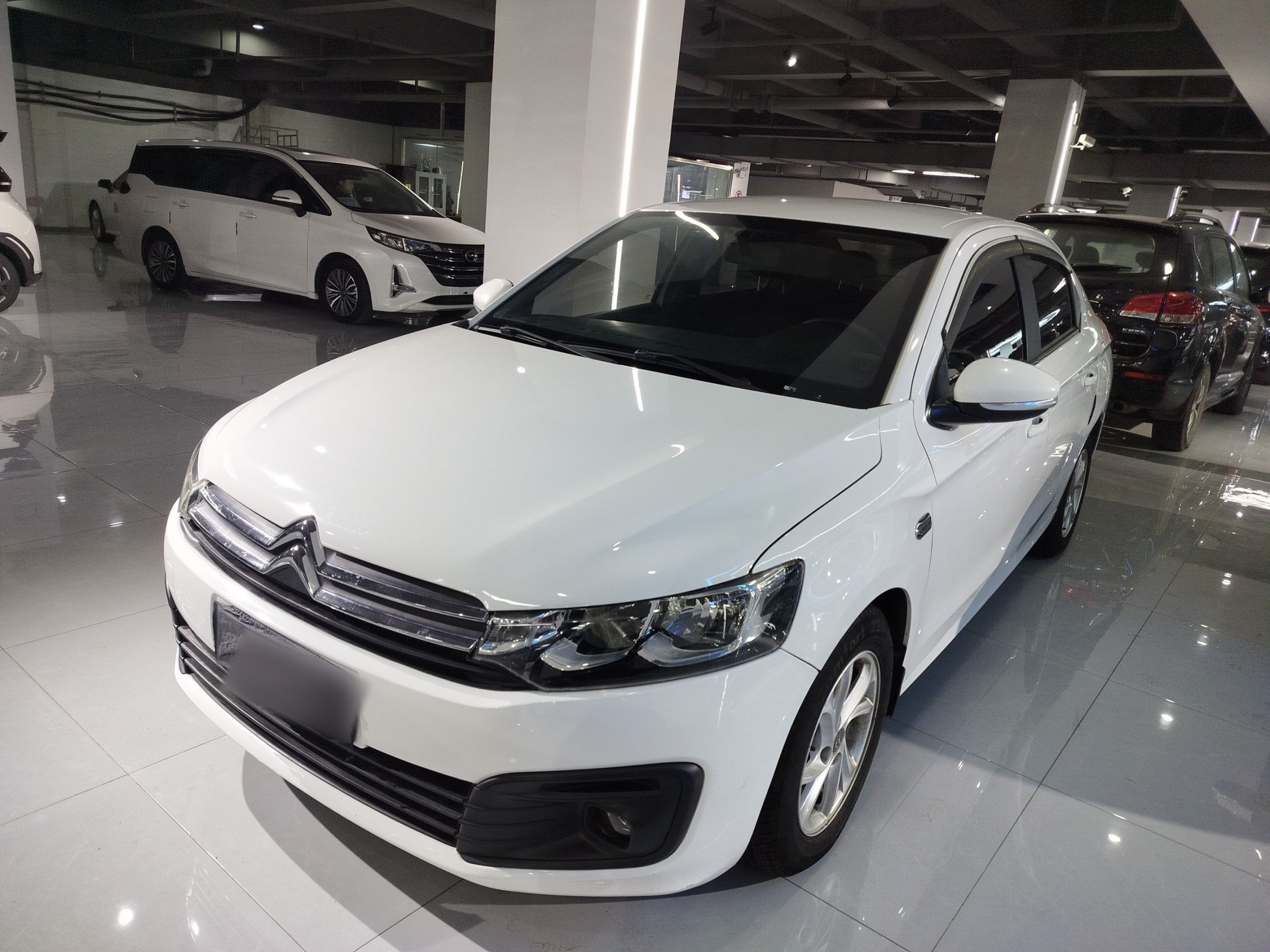 تحت مقدمة السيارة