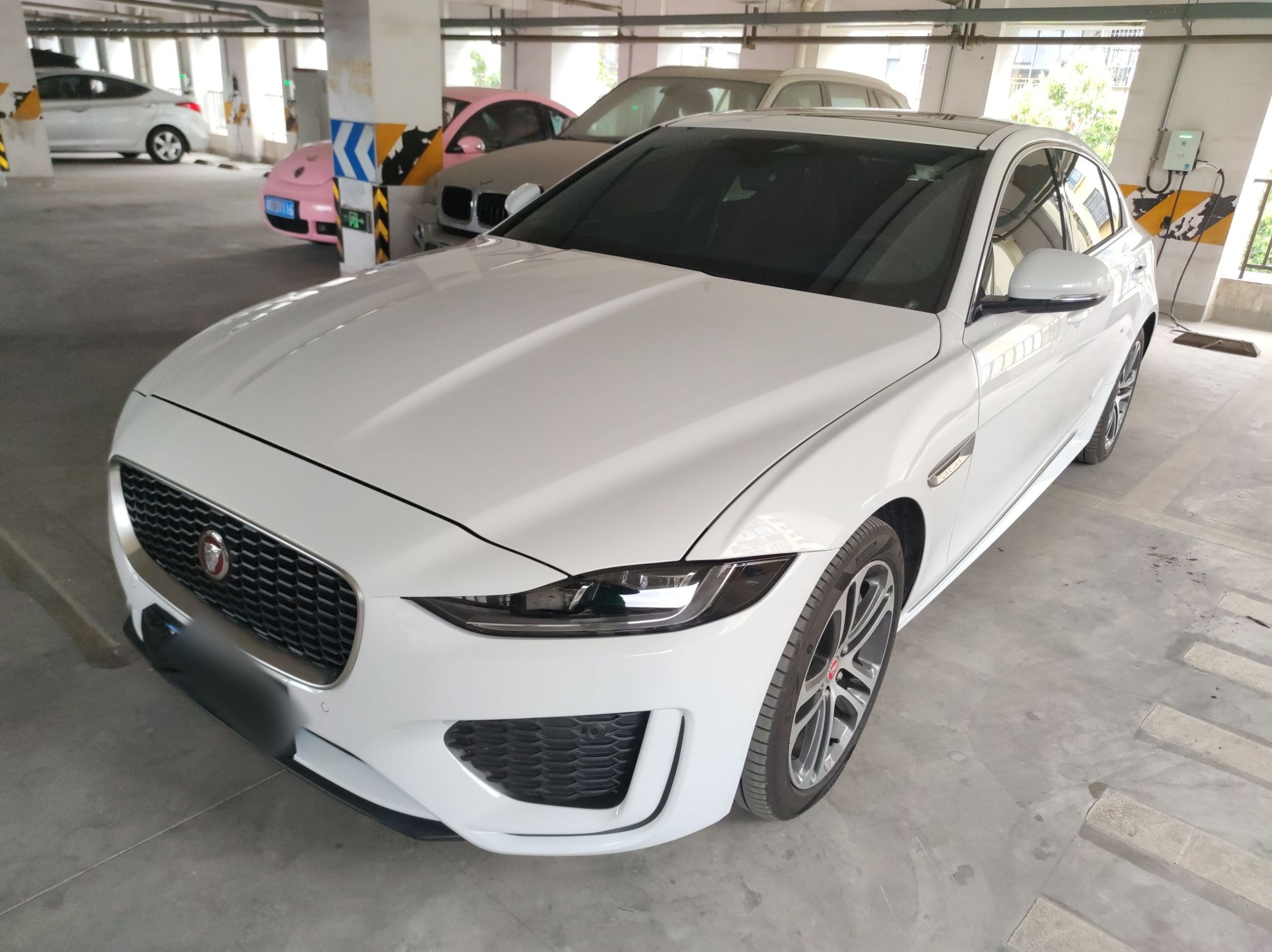 Parte inferior delantera