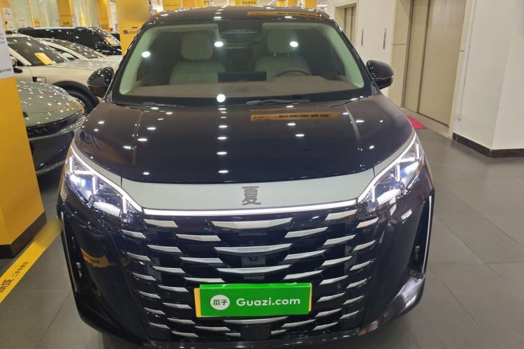 Used BYD Xia 2025 DM-i 1.5T 100km Leading Model
