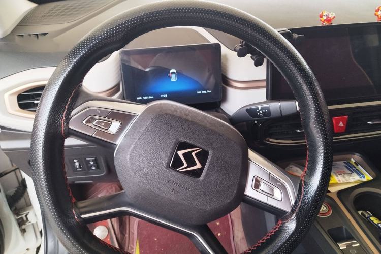 Used SOL E10X 2022 Flower Fairy Design Four-Leaf Clover