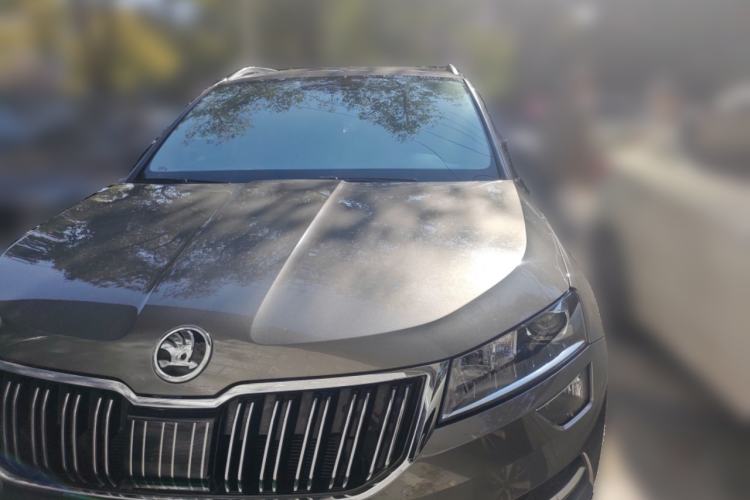 Used Skoda Karoq 2020 TSI280 Luxury Smart Edition China VI Standard