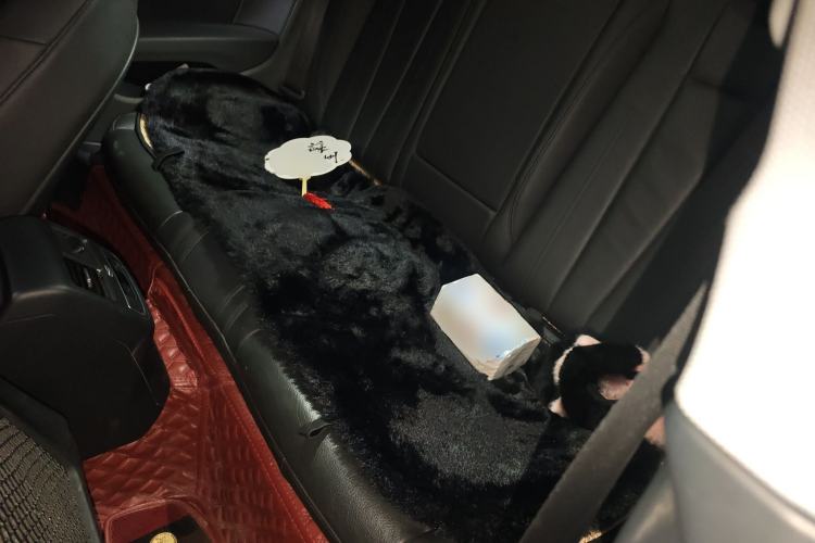 Used Audi A5 2020 Coupe 40 TFSI Fashion Edition China VI Emission Standard
